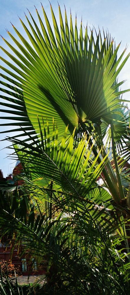 Photograph by Елена Эйнова
