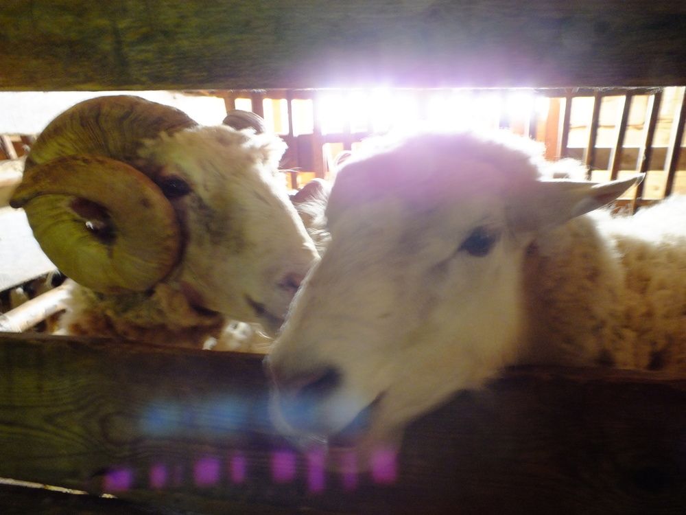 Photo #13595684