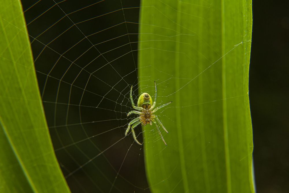 Photograph by Александр Ананьев