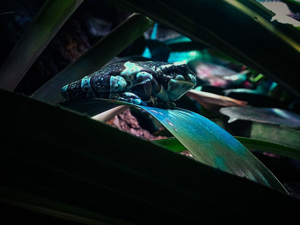 Photograph by Ivan Goshtanar