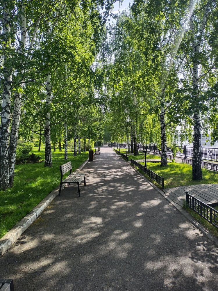 Фотография автора Мария Клеба