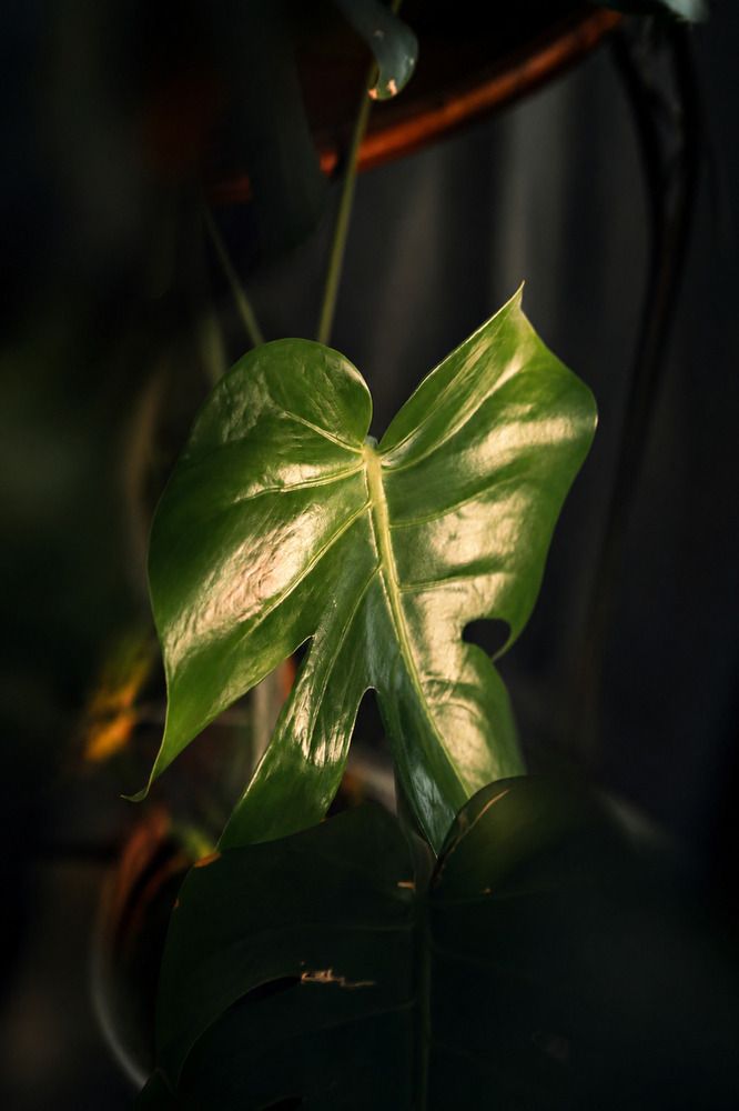 Photograph by Елена Кудрявцева