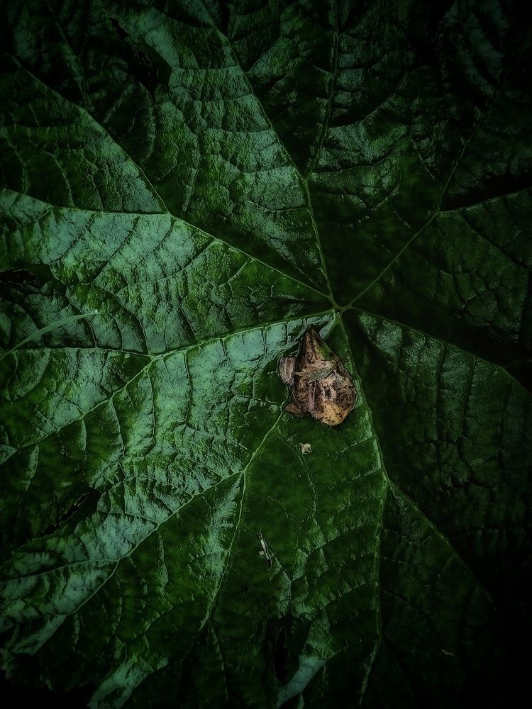 Photograph by Alexander Svetlov