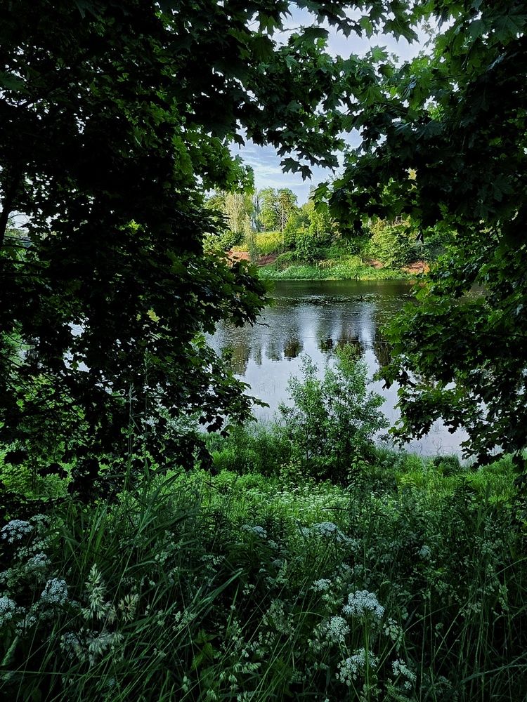 Photograph by Светлана Кустова