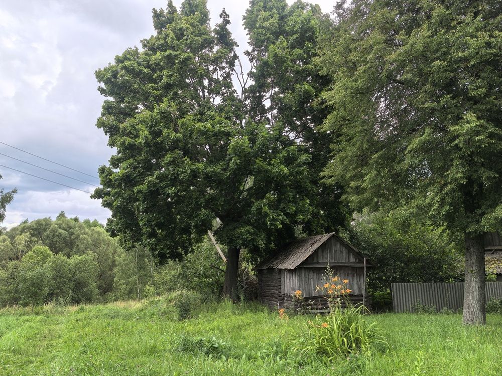 Photograph by Екатерина Борисовна Кузьмина