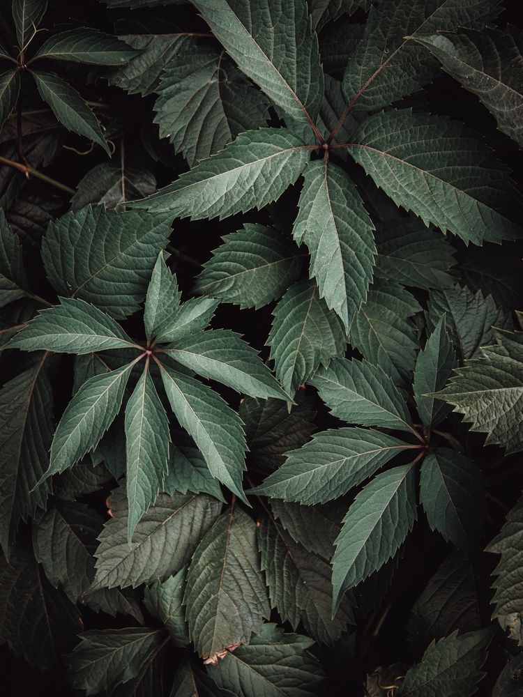 Photograph by Анна Любимова