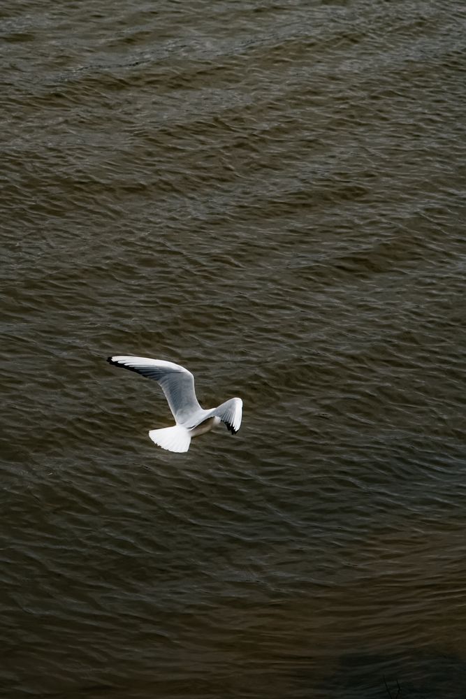 Photograph by Vladimir Bezborodov