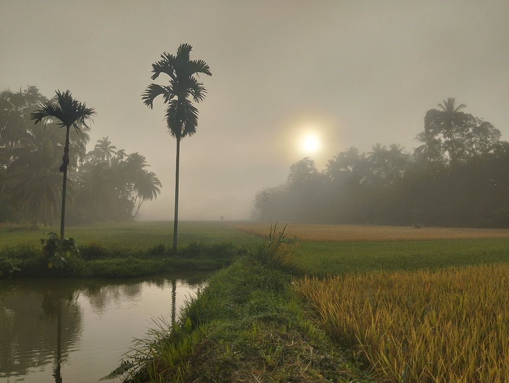Sunrise green