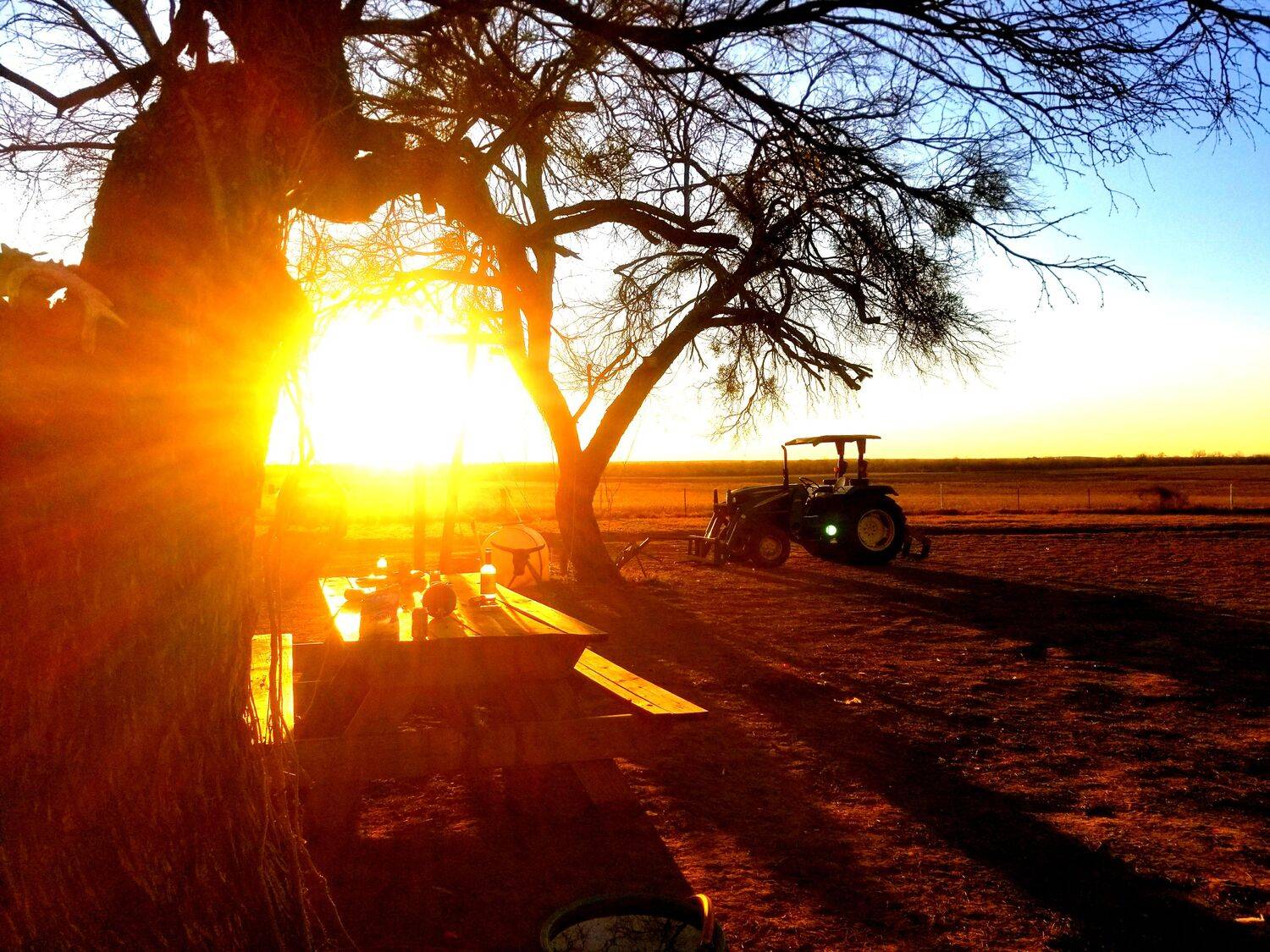 Harvest Sunrise