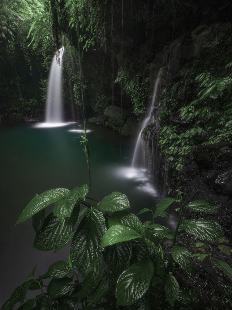 Serenity Found