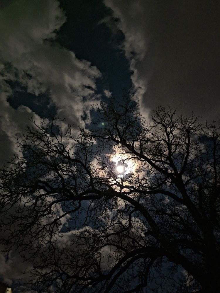 Full moon
