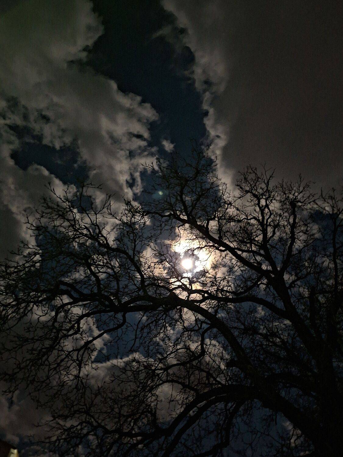 Full moon