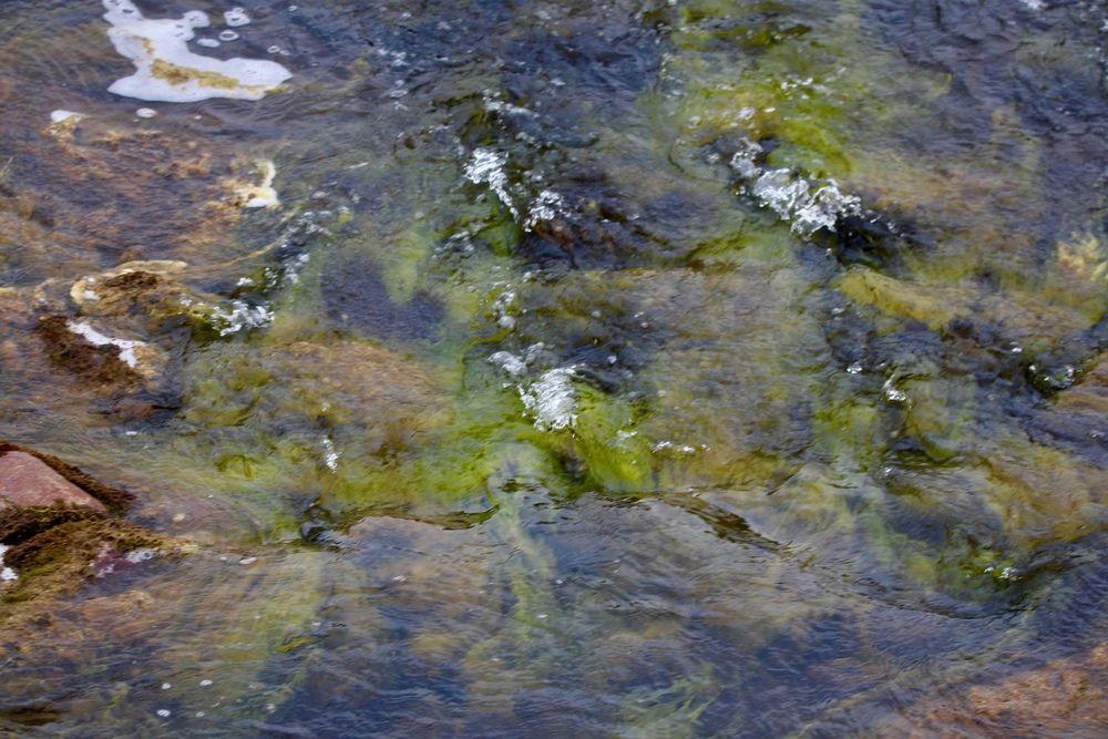 Photograph by Helga Guðjónsdóttir