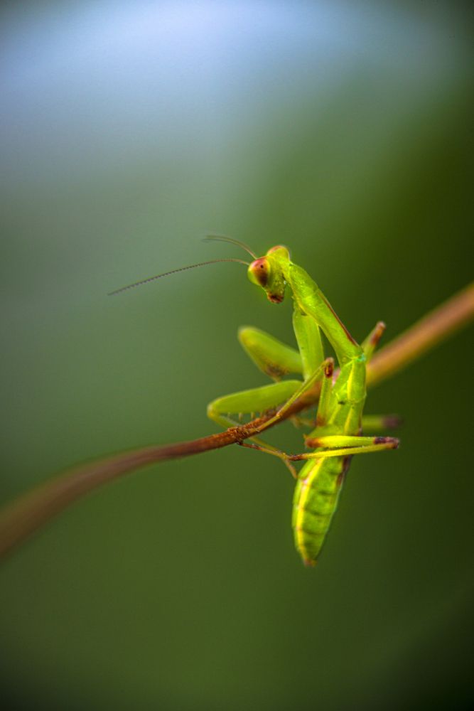 Photograph by Huu Vong Tran
