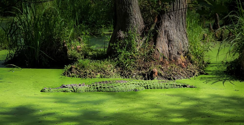 Photograph by Jeff Cooley