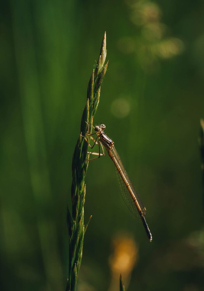 Photograph by Ольга Глущенко