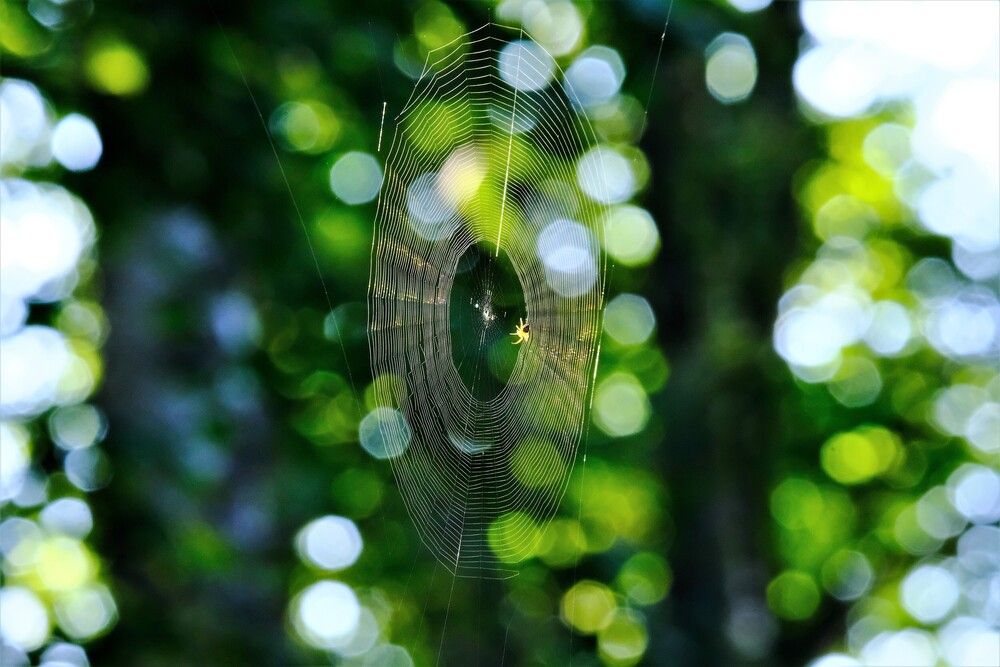 Photograph by VIZO