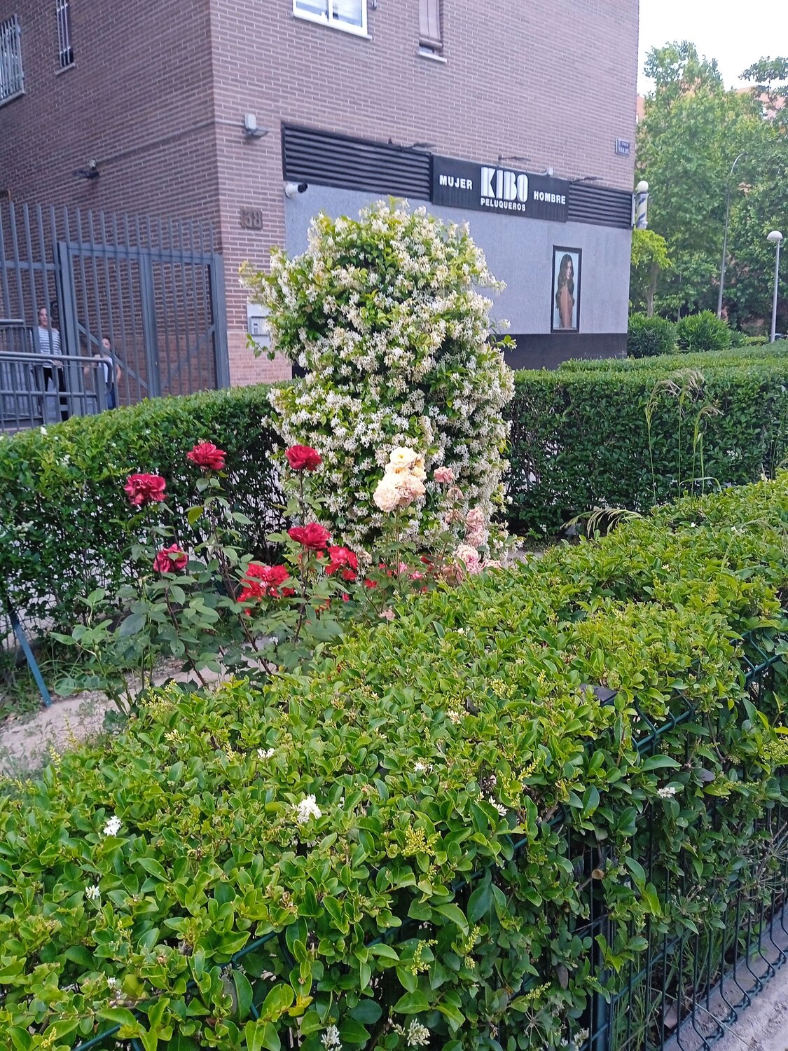 Photo #13596106
