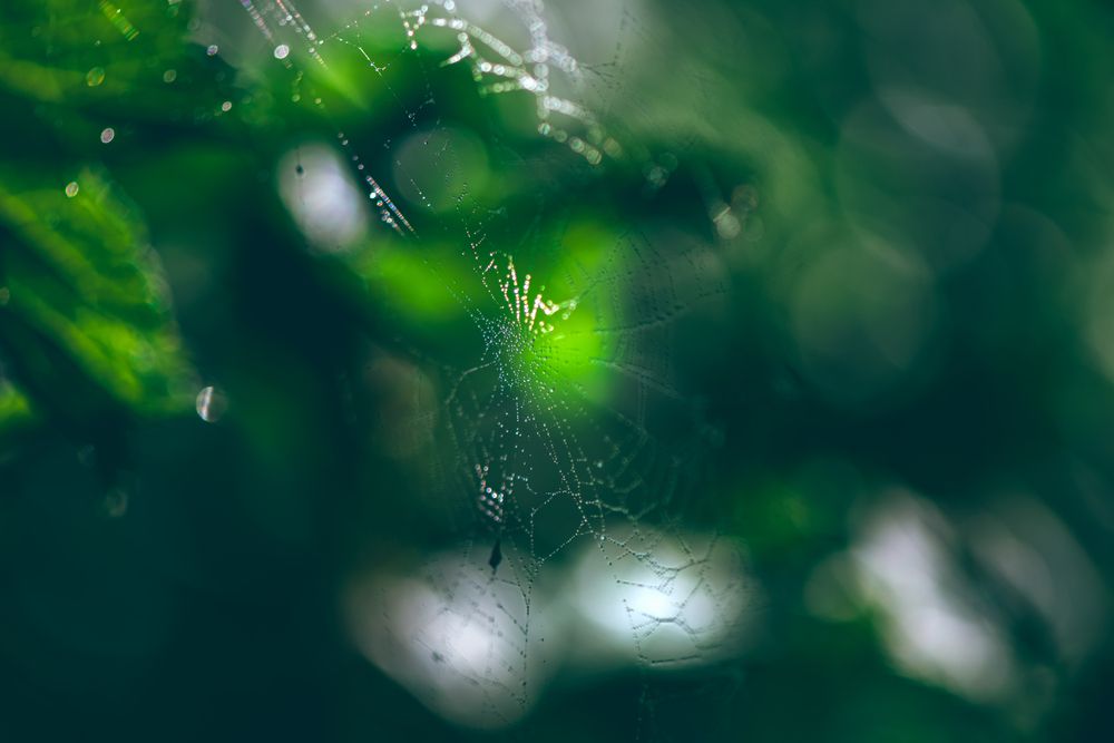 Photograph by Ольга Ильина