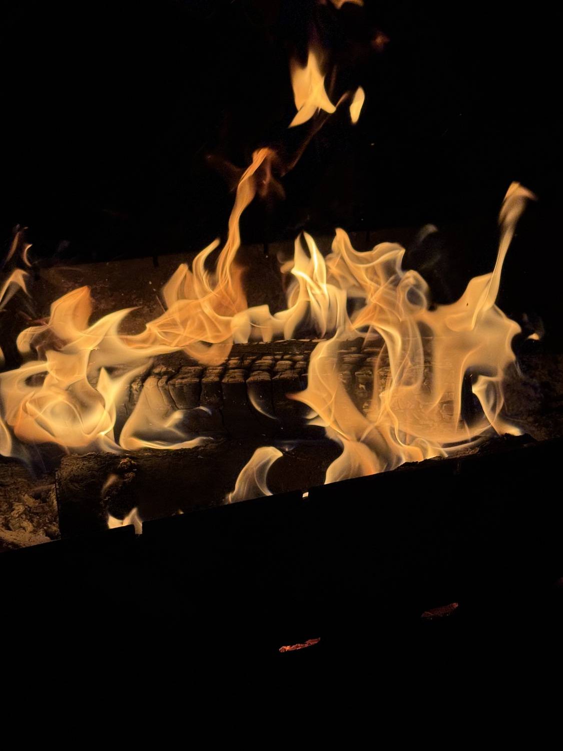 Photo #13596152