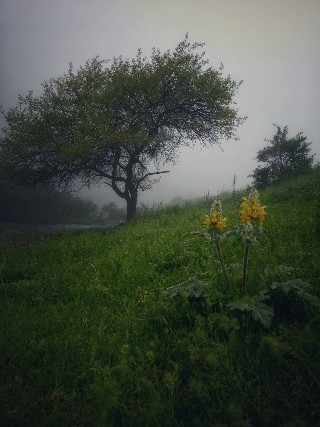Photo #13596163
