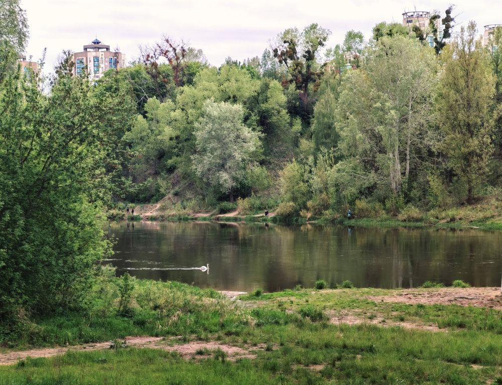 Фотография автора Александра Пецевич