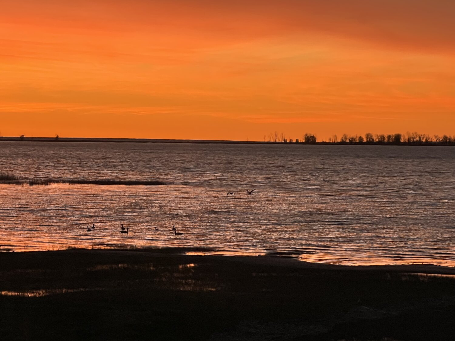 Photo #13596387