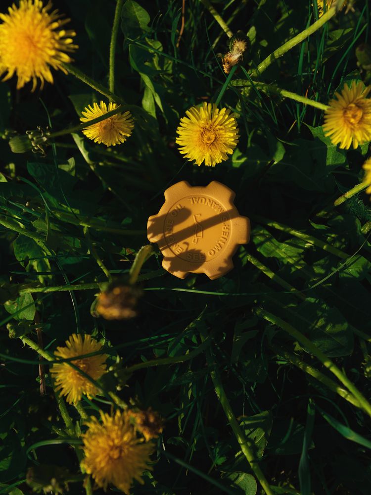 Photograph by Семен Батов