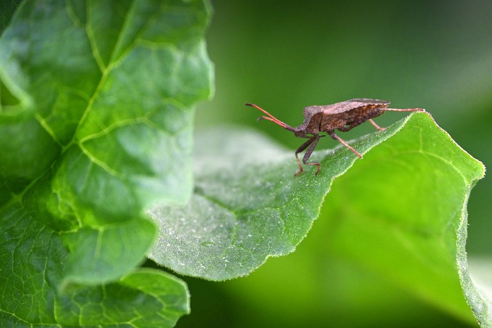 Photograph by Марина Никифорова