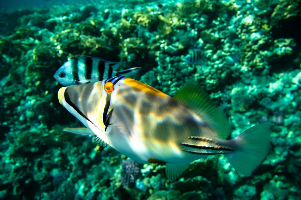 Photograph by Владимир Говоров