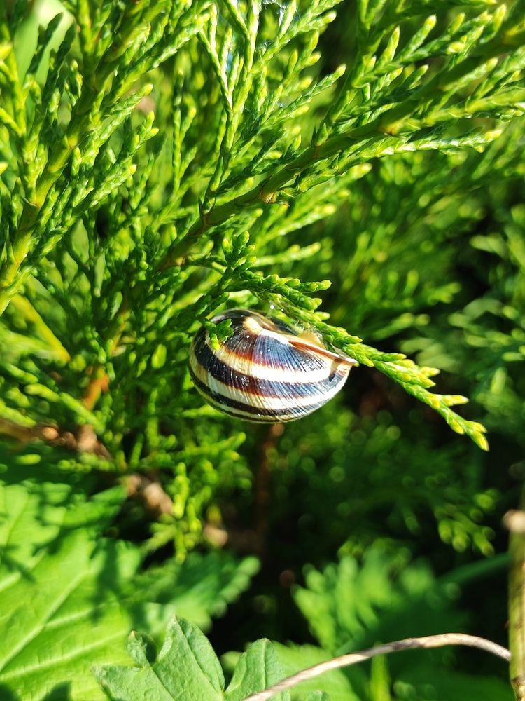 Photograph by Алёна Монахова