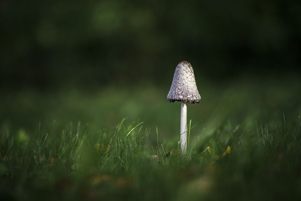 Photograph by Максим Мураков