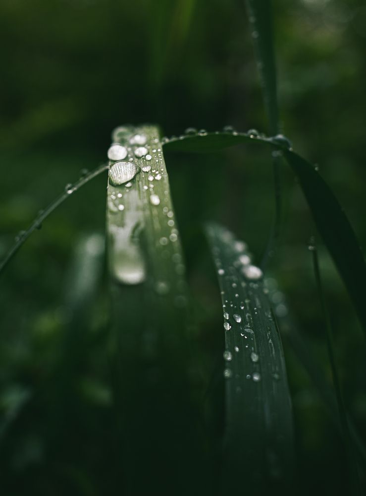 Photograph by Виктор Зотов