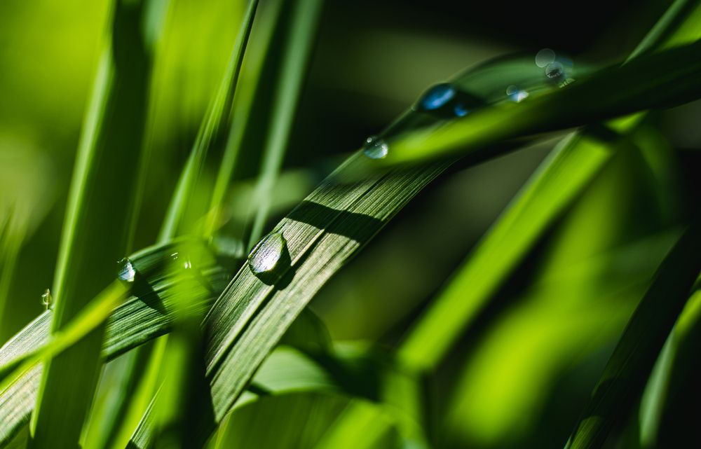 Photograph by Виктор Зотов