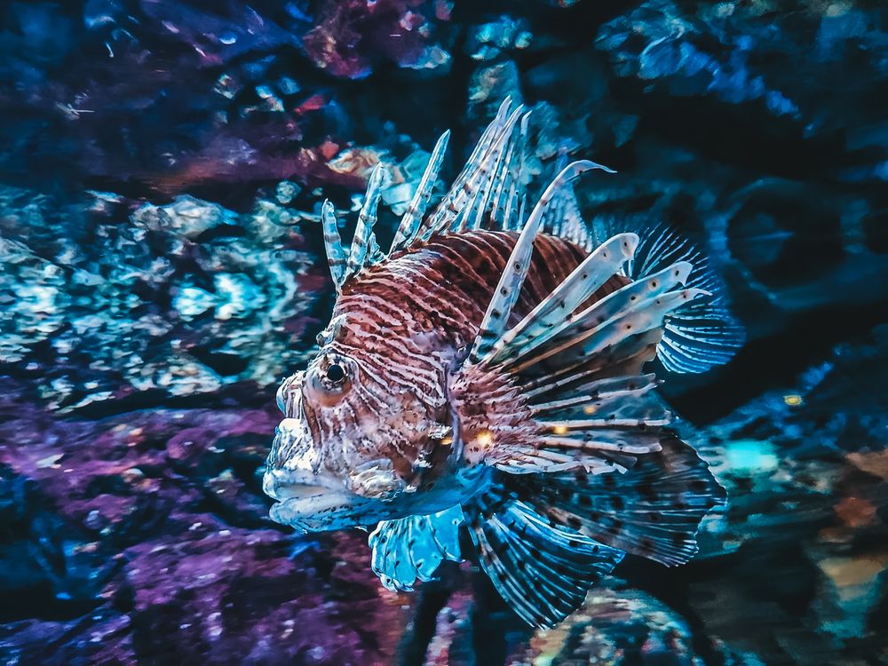 Photograph by Мария Самохвалова