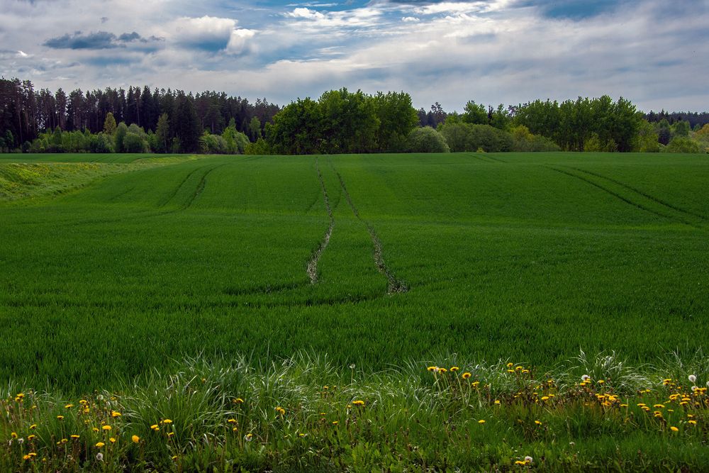 Photograph by Юрий Михайлович Головкин