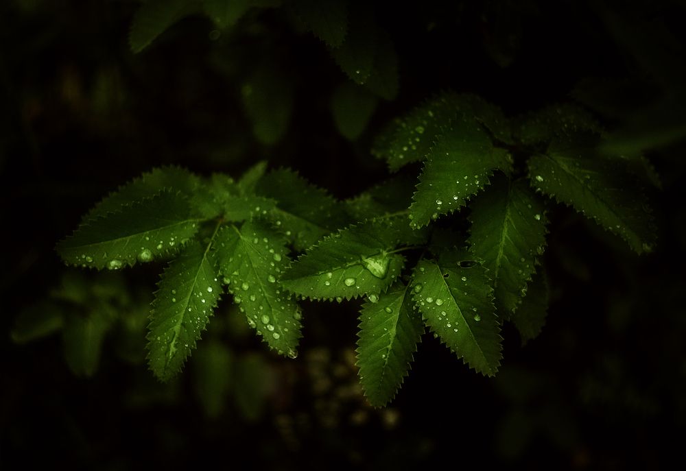 Photograph by Юлия Лушникова