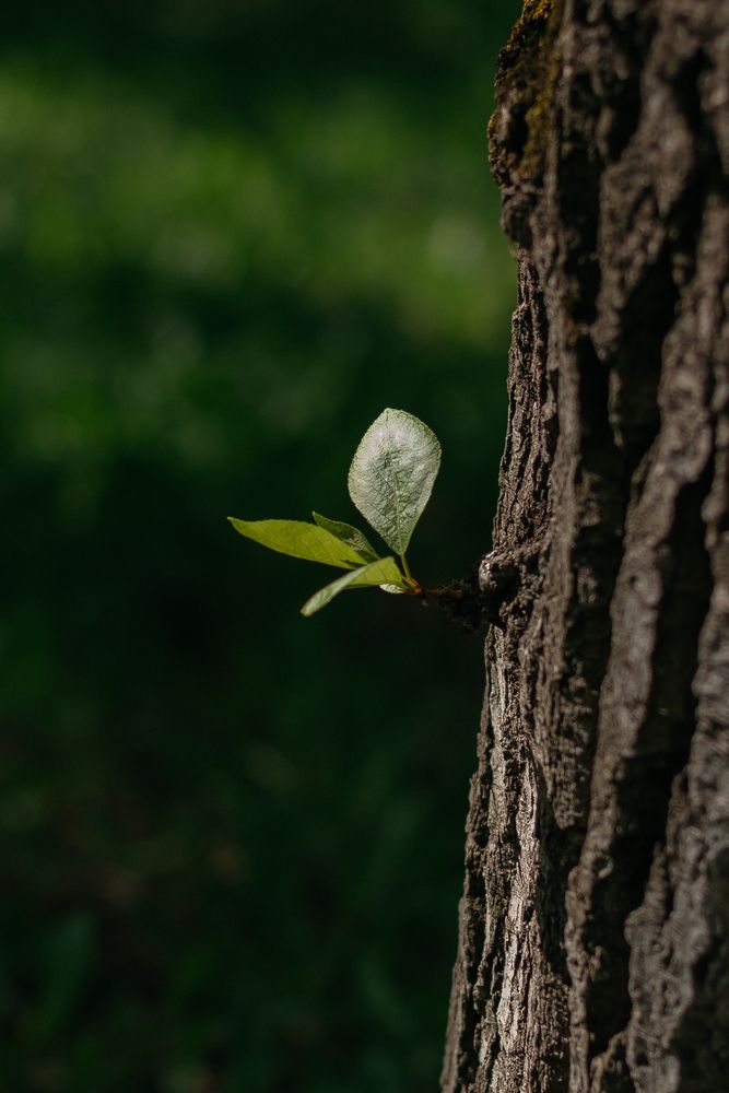 Photograph by Злата Новикова
