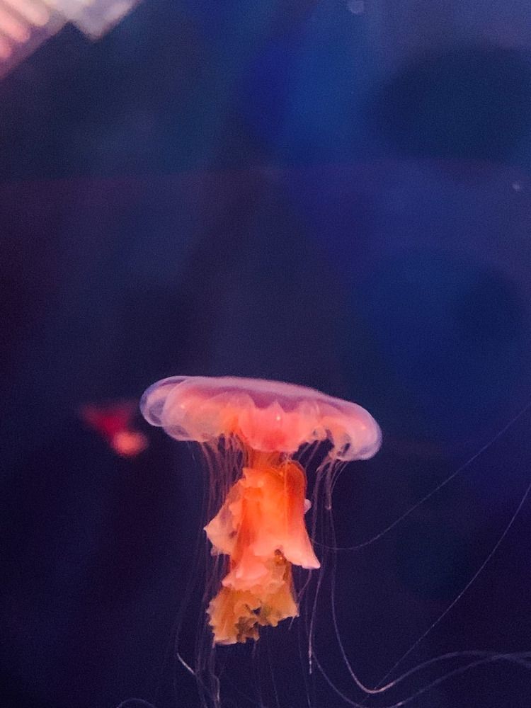 Photograph by Влада Семёнова