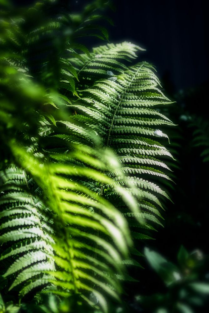Photograph by Роман Гурененко