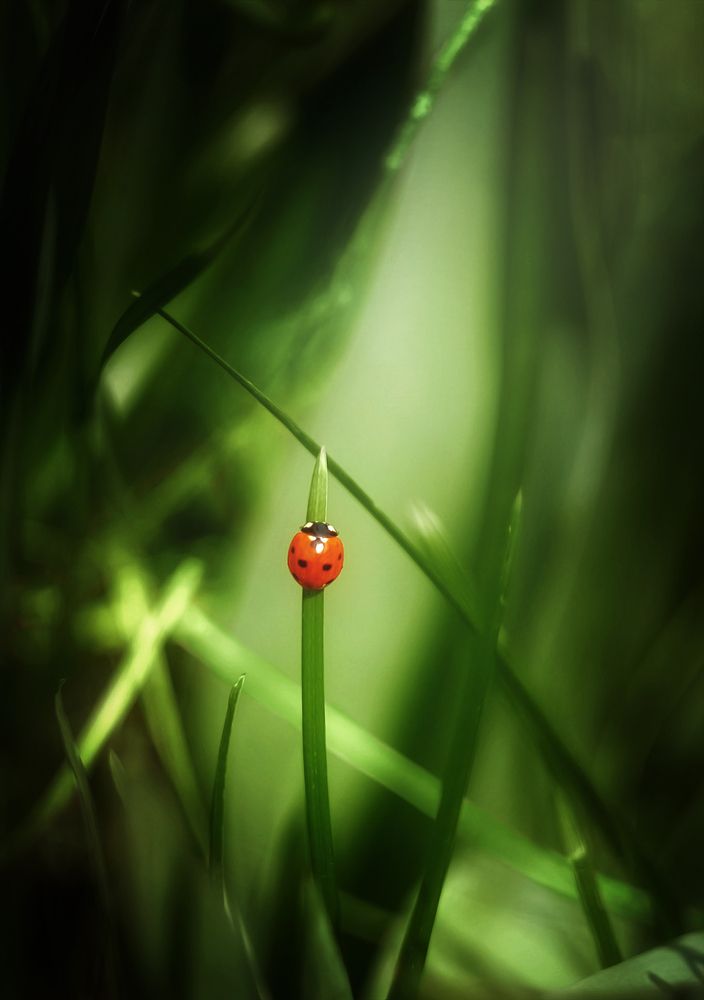 Photograph by Юлия Лушникова