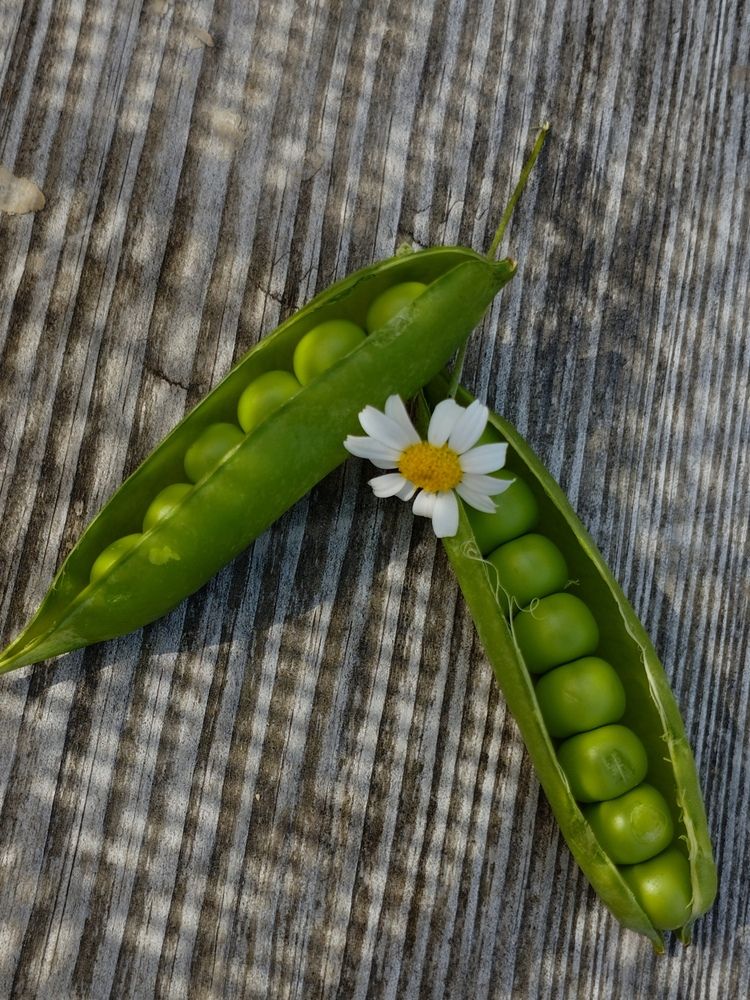 Photograph by Ия Дирко