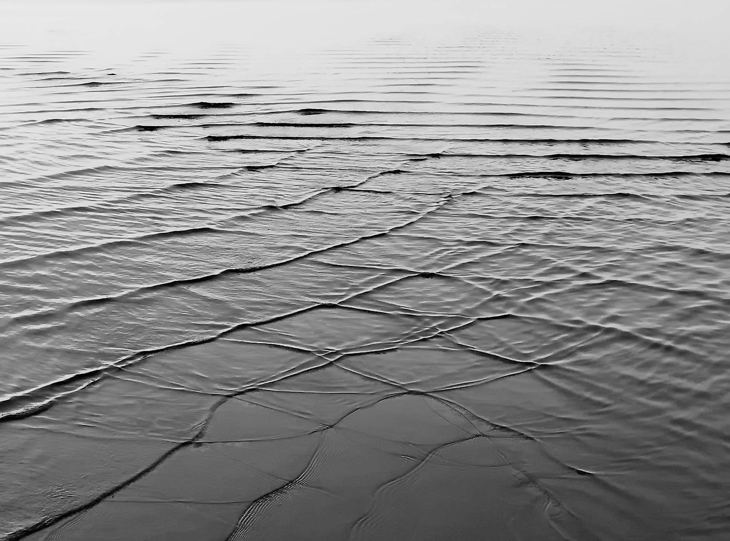 Photo #13596847