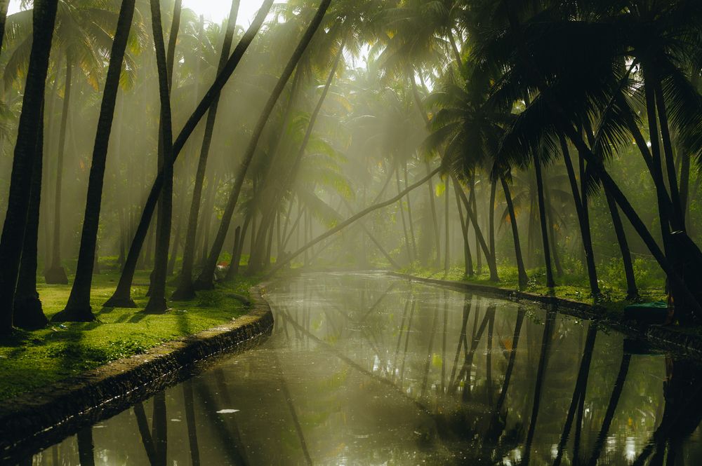 Photograph by jithin jayanarayanan