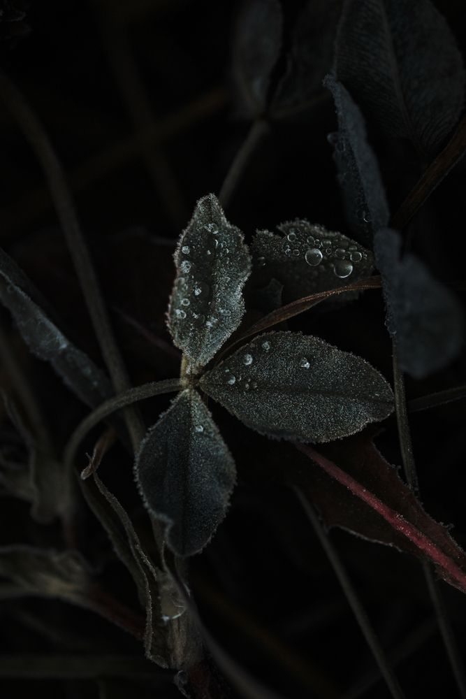 Photograph by Анастасия Белаш