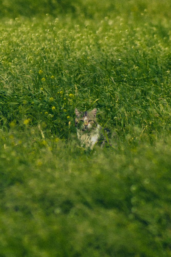 Photograph by Юлия Сысоева