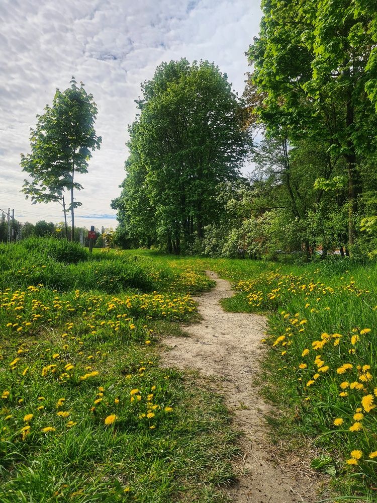 Photograph by Екатерина Народицкая