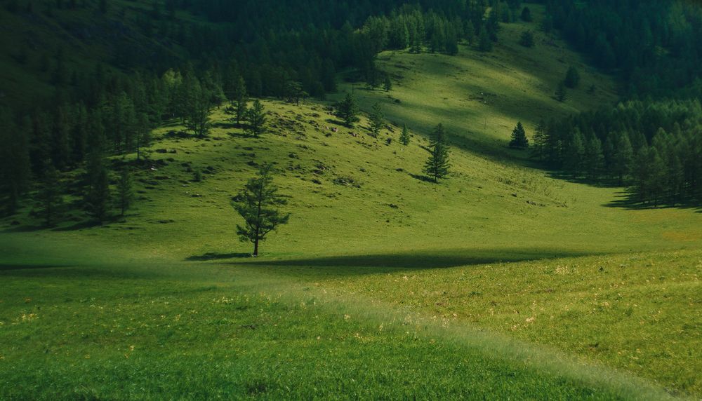 Photograph by Elena Kilina