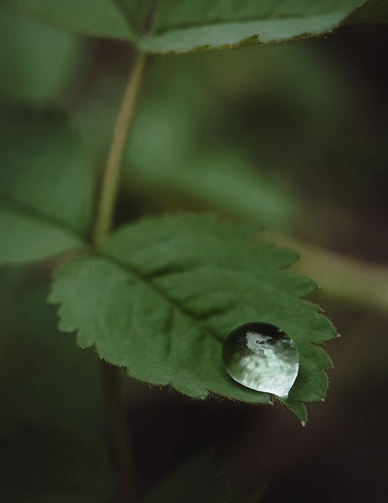 Photograph by Анна Чичилова