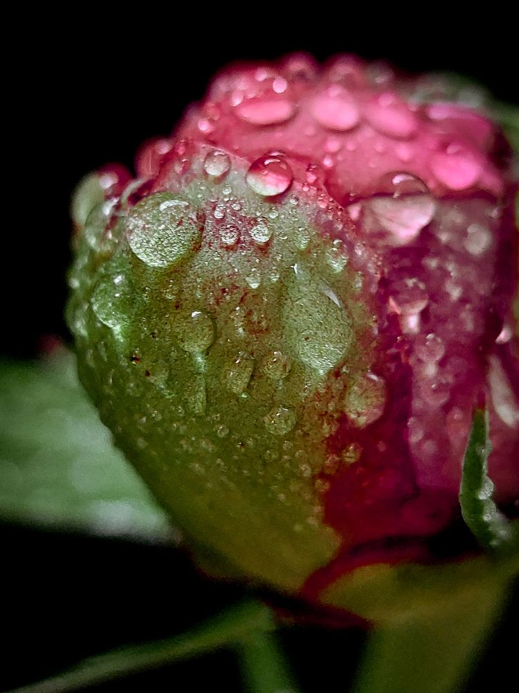 Photograph by Анна Чичилова